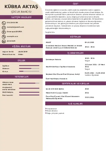 Çocuk Bakıcısı CV Örnekleri cv indir